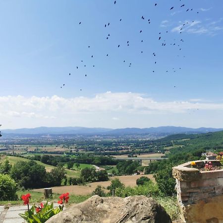 Al Podere Del Nonno Romolo Sansepolcro Exteriér fotografie