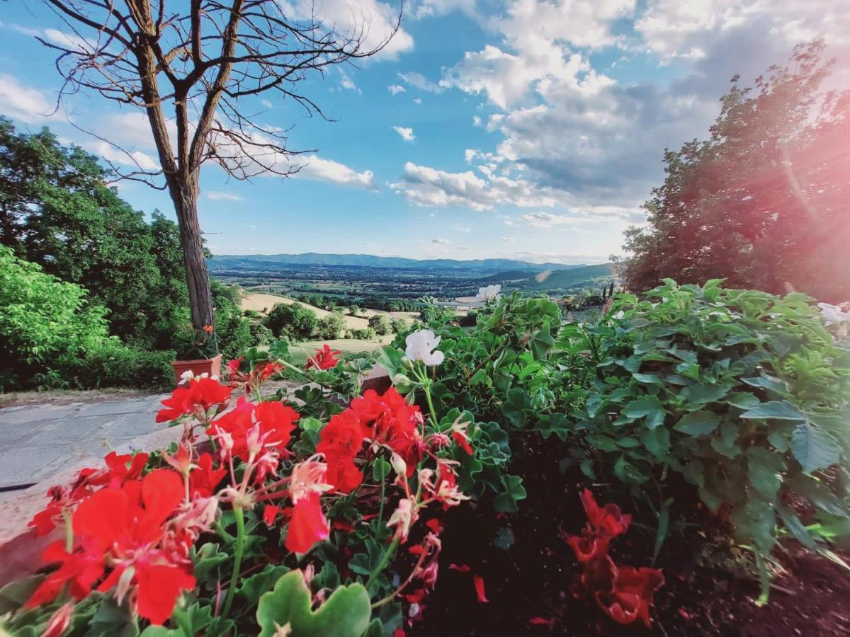 Al Podere Del Nonno Romolo Sansepolcro Exteriér fotografie