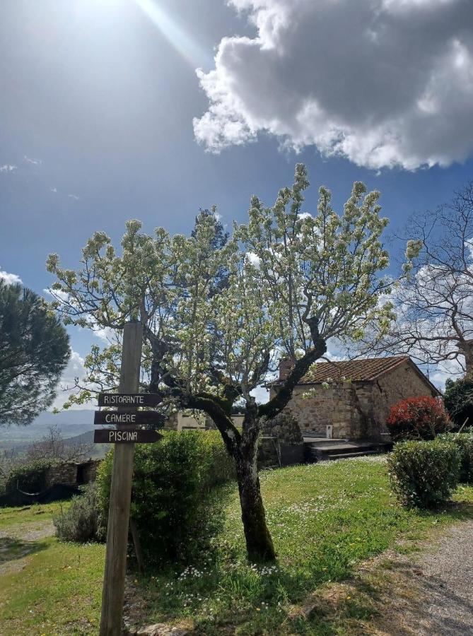 Al Podere Del Nonno Romolo Sansepolcro Exteriér fotografie
