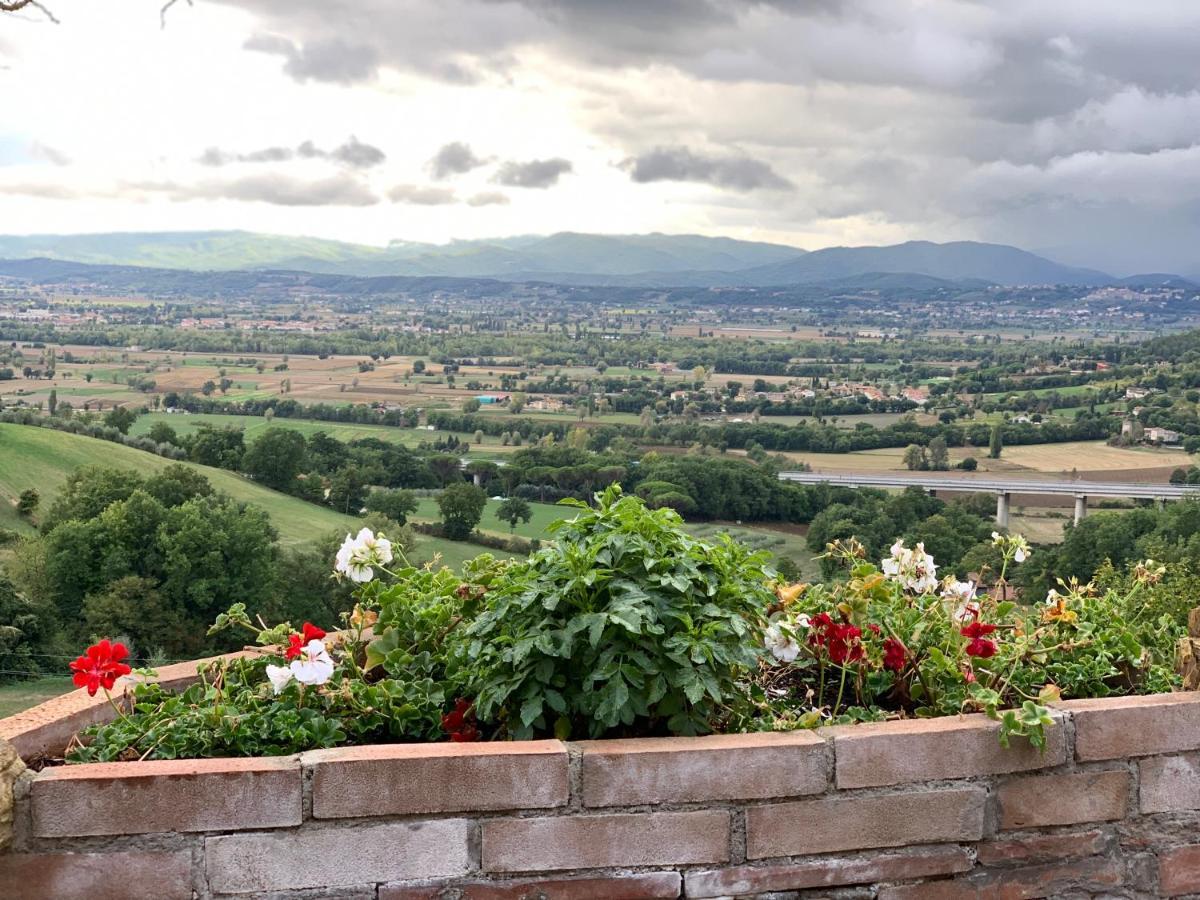 Al Podere Del Nonno Romolo Sansepolcro Exteriér fotografie