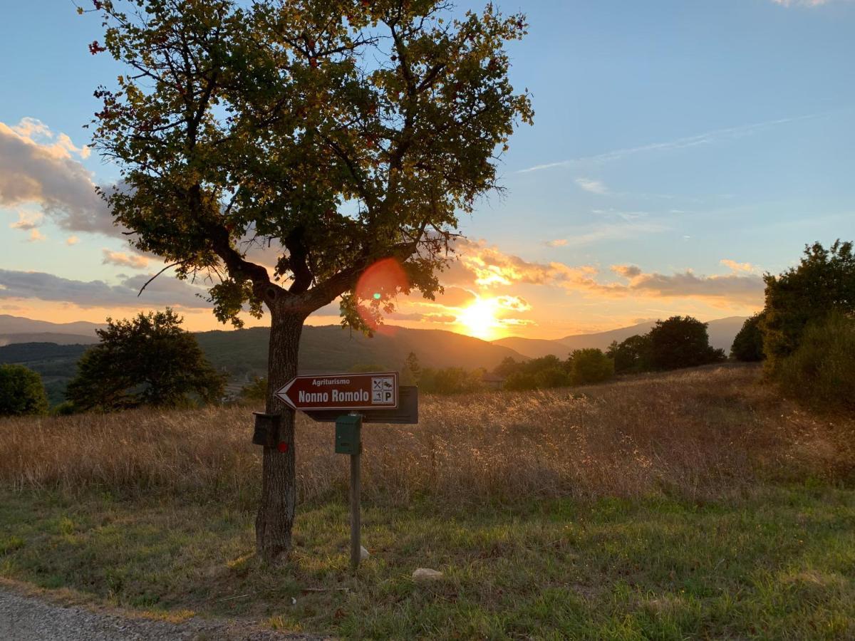 Al Podere Del Nonno Romolo Sansepolcro Exteriér fotografie