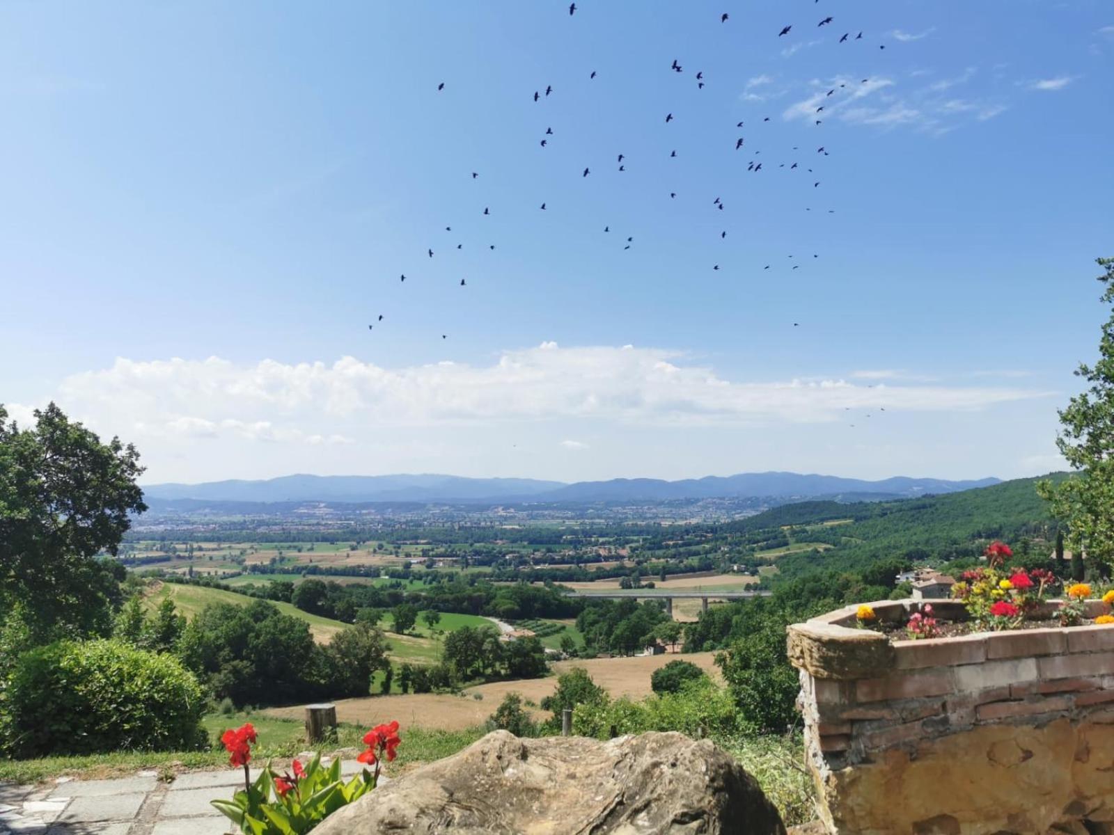 Al Podere Del Nonno Romolo Sansepolcro Exteriér fotografie